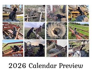 2026 Calendar Preview