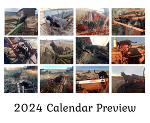 2024 calendar preview