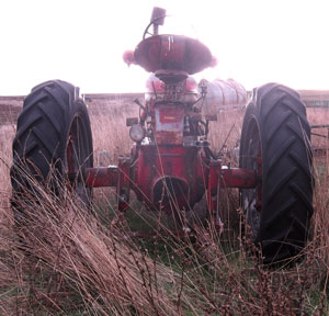 rear view of International M tractor