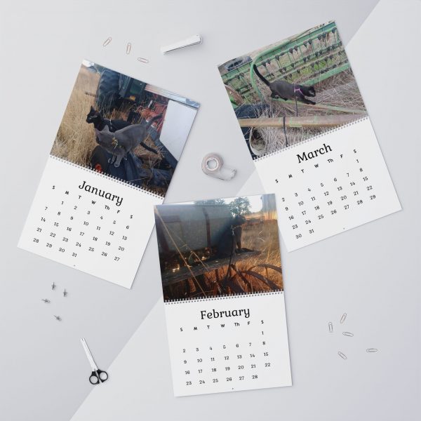 Tractor Cats 2025 12-Month Wall Calendars, 11x8.5 in & 14x11.5 in - Image 8