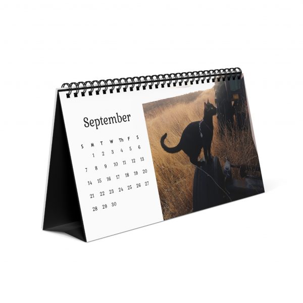 Tractor Cats 2025 12 Month Desktop Calendar