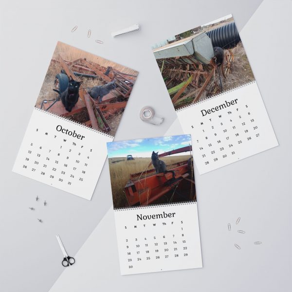 Tractor Cats 2025 12-Month Wall Calendars, 11x8.5 in & 14x11.5 in - Image 10