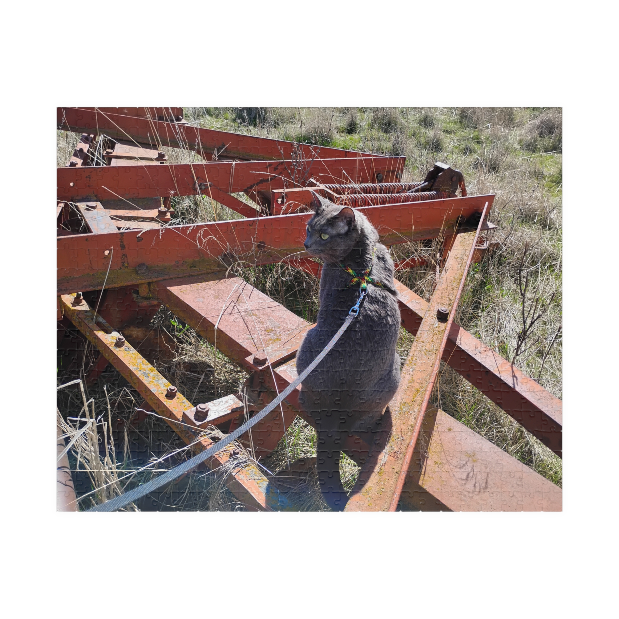 Indy on Disk 2026 Puzzle (252, 520, 1014-piece) - Image 5