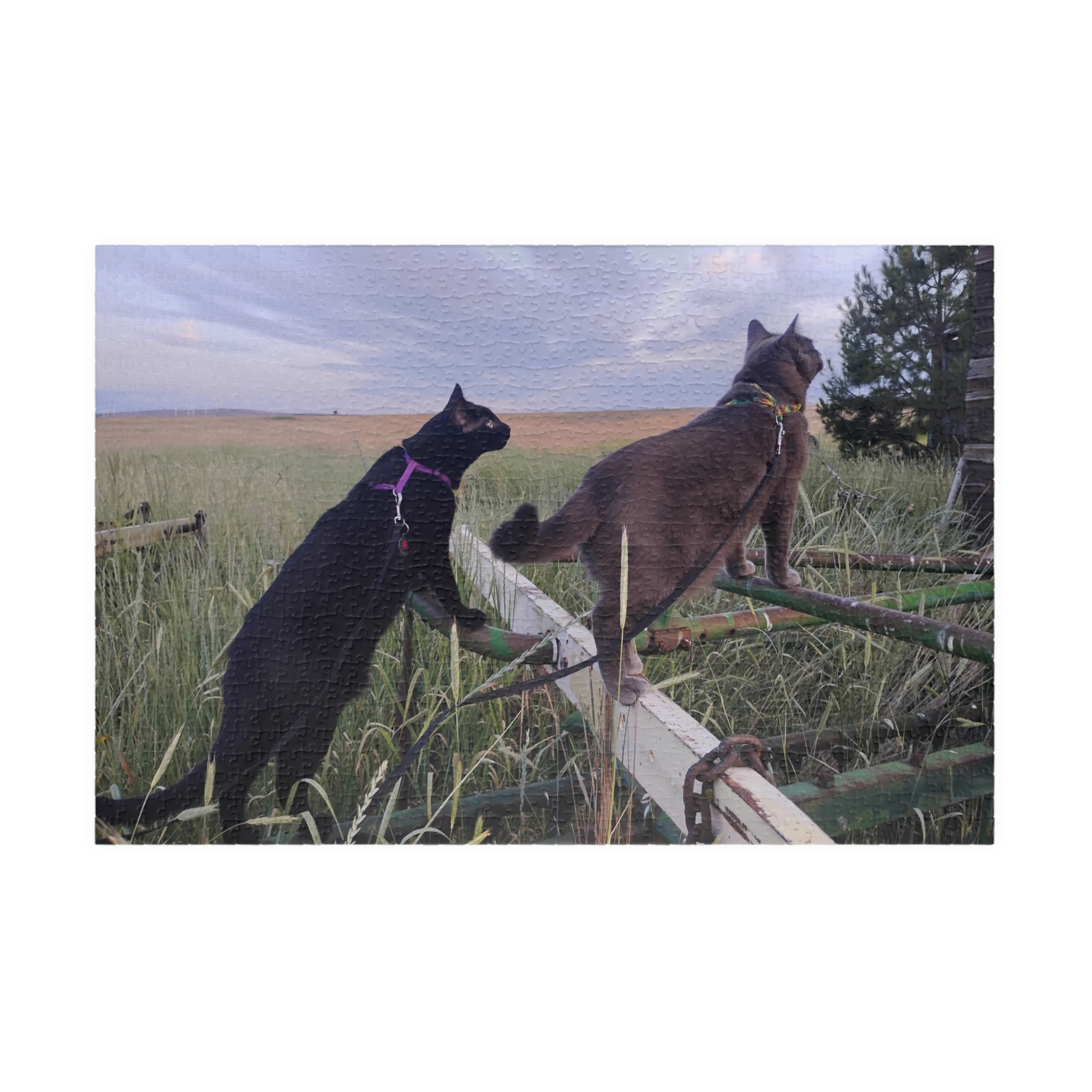 Tractor Cats on Hay Rake 2026 Puzzle (252, 520, 1014-piece) - Image 9