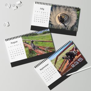 Tractor Cats 2026 12 Month Desktop Calendar