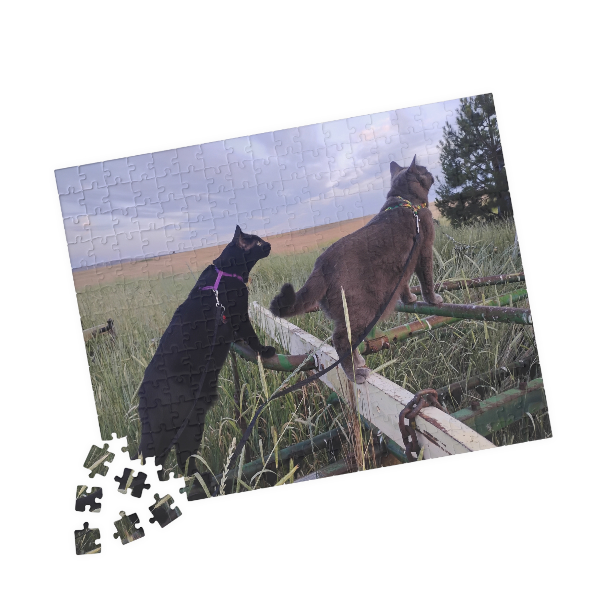 Tractor Cats on Hay Rake 2026 Puzzle (252, 520, 1014-piece) - Image 3