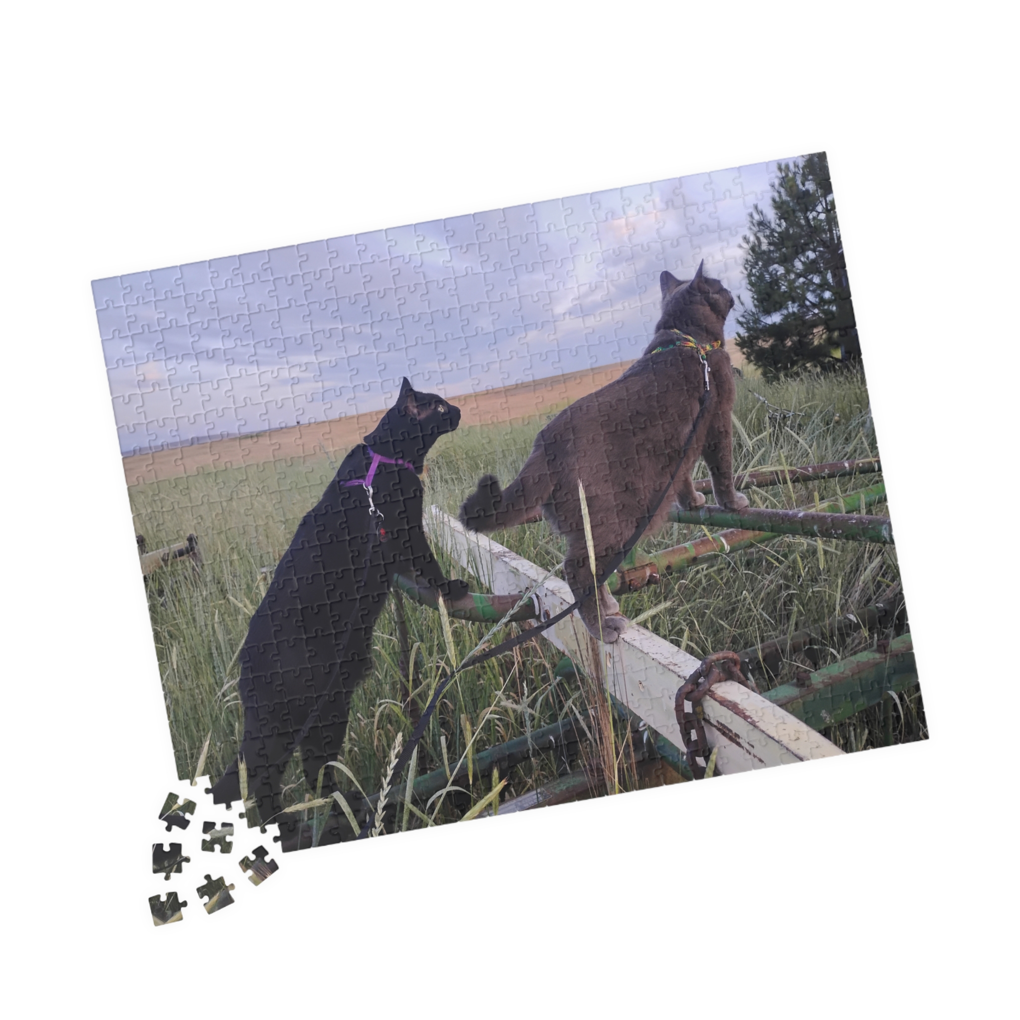 Tractor Cats on Hay Rake 2026 Puzzle (252, 520, 1014-piece) - Image 7