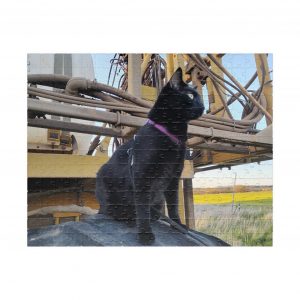 Zorro on Rogator 2026 Puzzle (252, 520, 1014-piece)