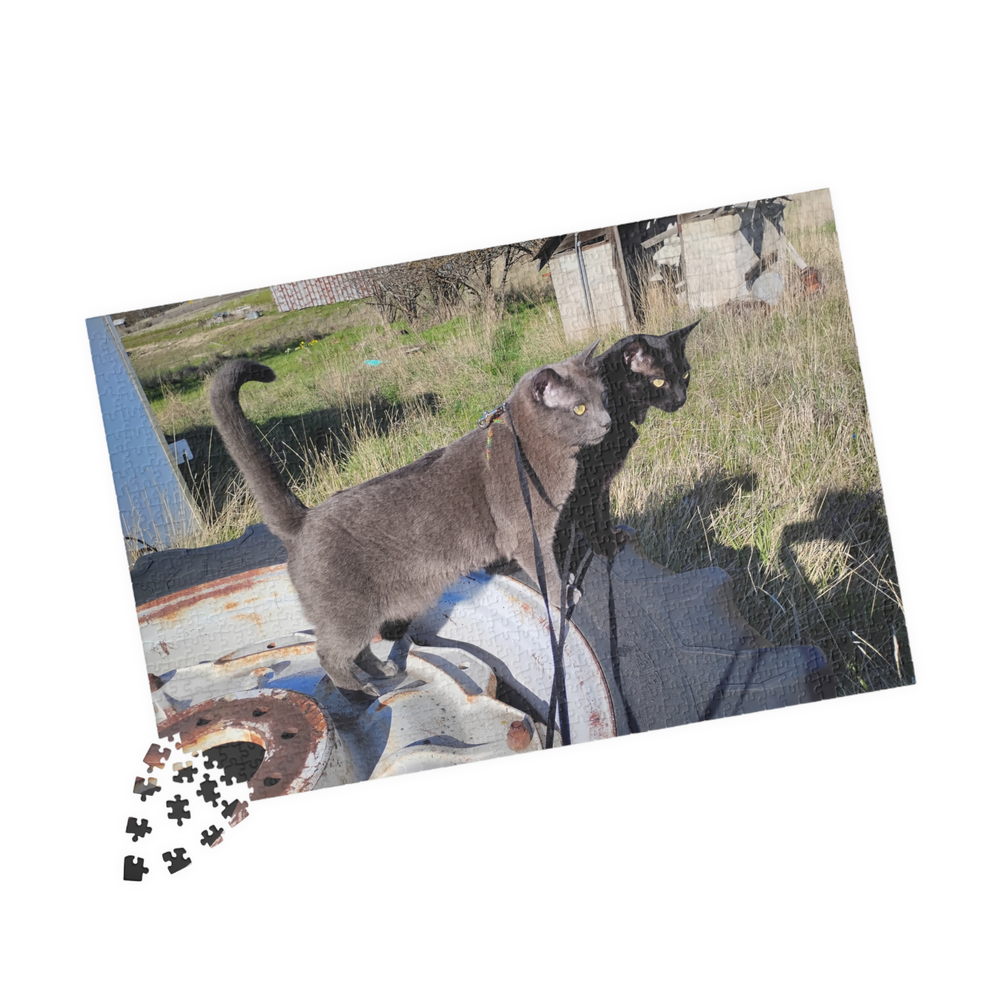 Tractor Cats on Tractor Tires 2026 Puzzle (252, 520, 1014-piece) - Image 11