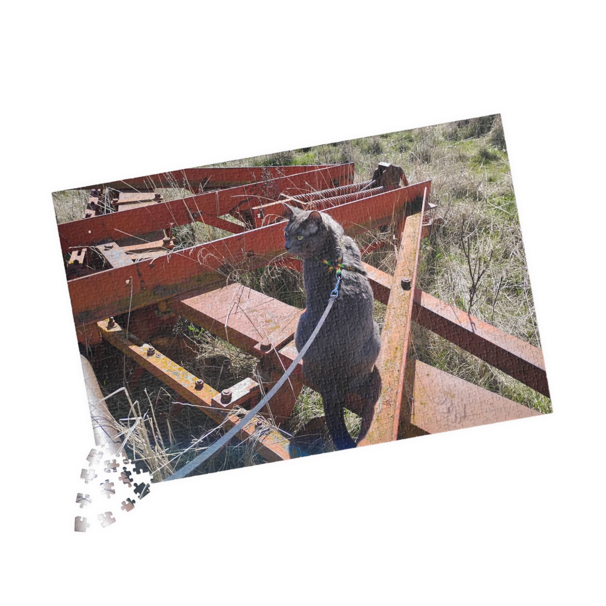 Indy on Disk 2026 Puzzle (252, 520, 1014-piece) - Image 11