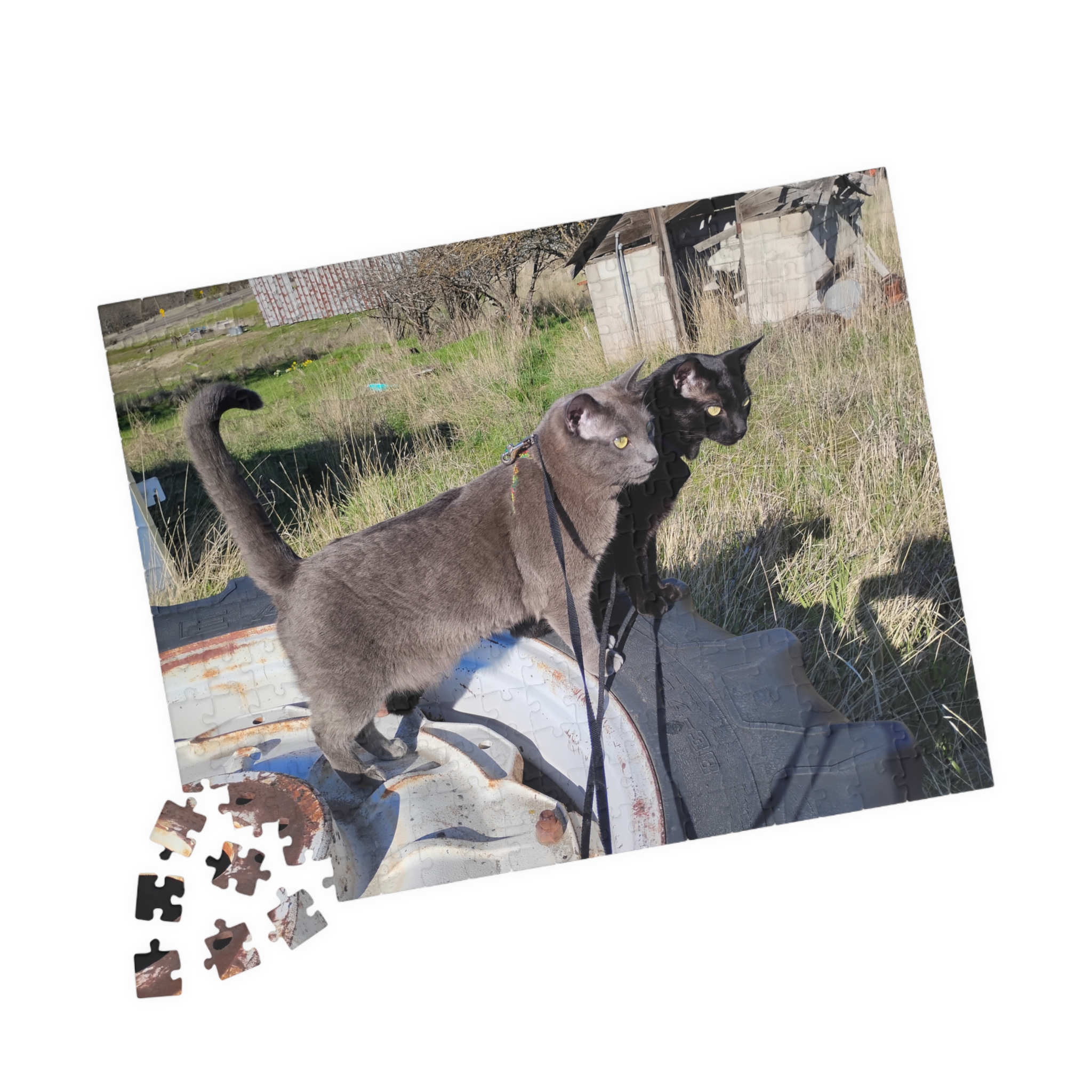 Tractor Cats on Tractor Tires 2026 Puzzle (252, 520, 1014-piece) - Image 3