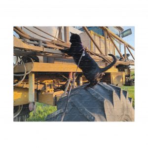 Zorro Exploring Rogator 2026 Puzzle (252, 520, 1014-piece)