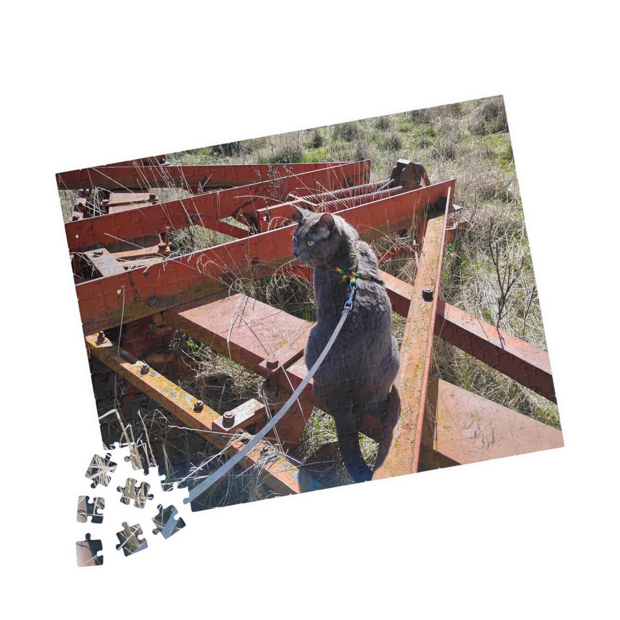 Indy on Disk 2026 Puzzle (252, 520, 1014-piece) - Image 3