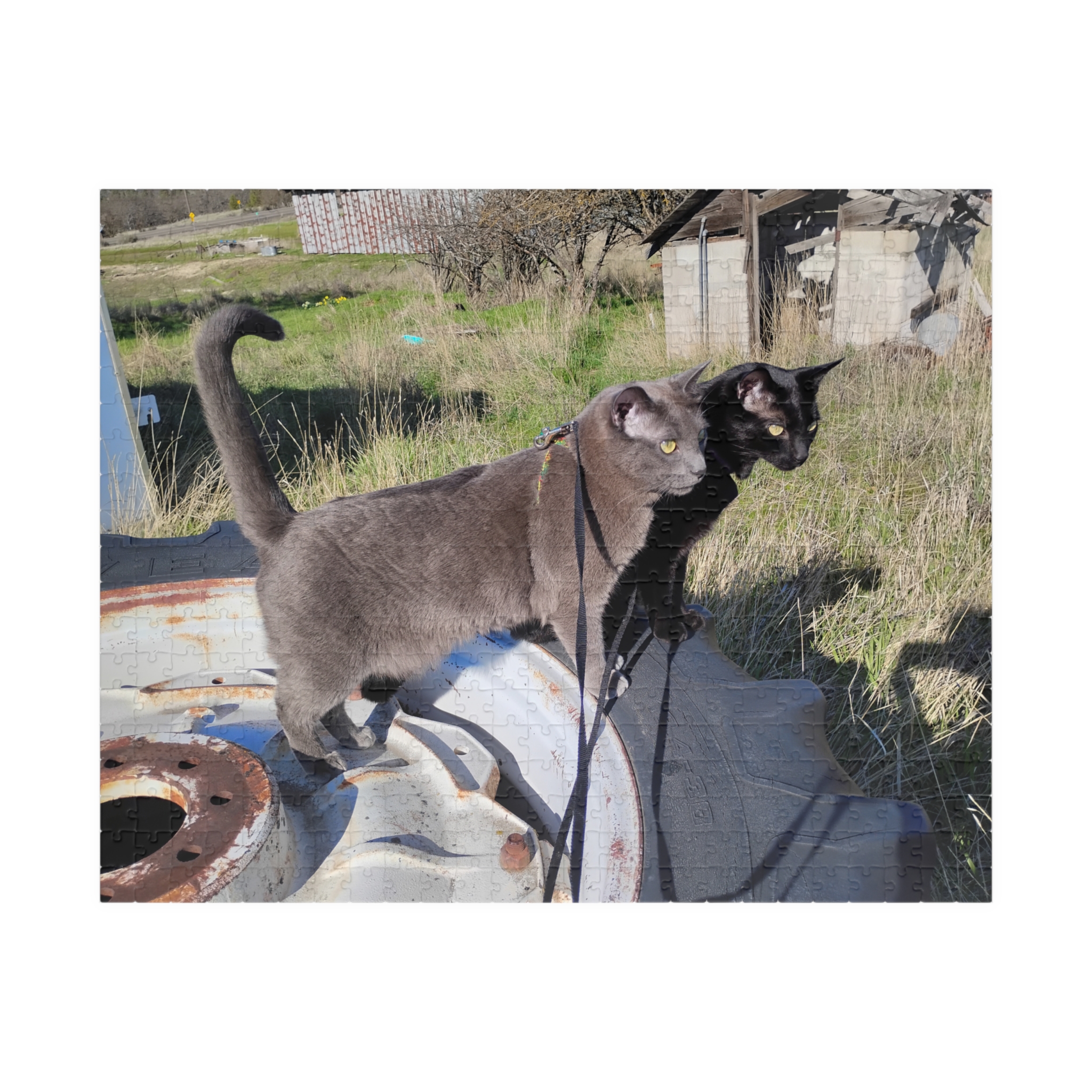 Tractor Cats on Tractor Tires 2026 Puzzle (252, 520, 1014-piece) - Image 5