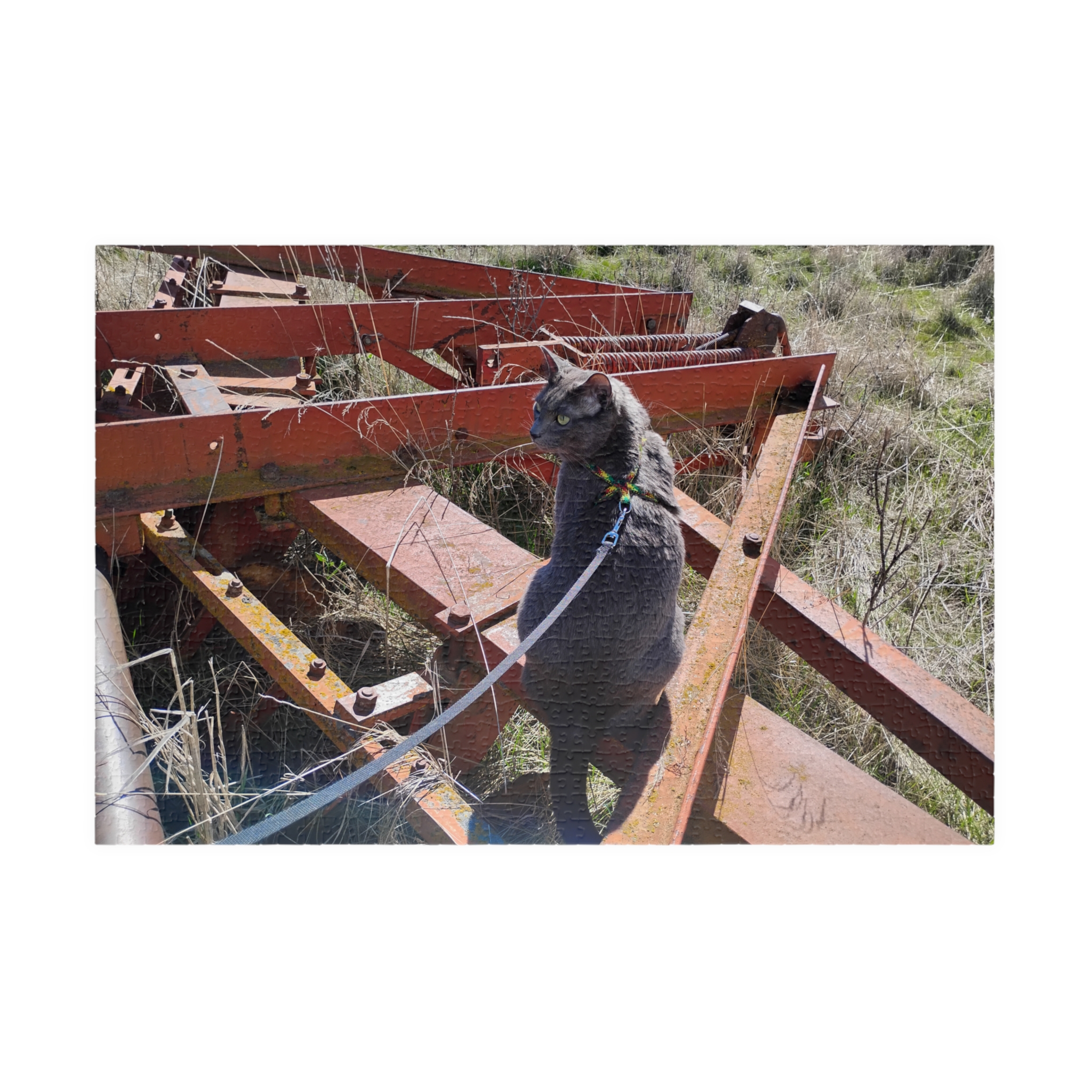 Indy on Disk 2026 Puzzle (252, 520, 1014-piece) - Image 9