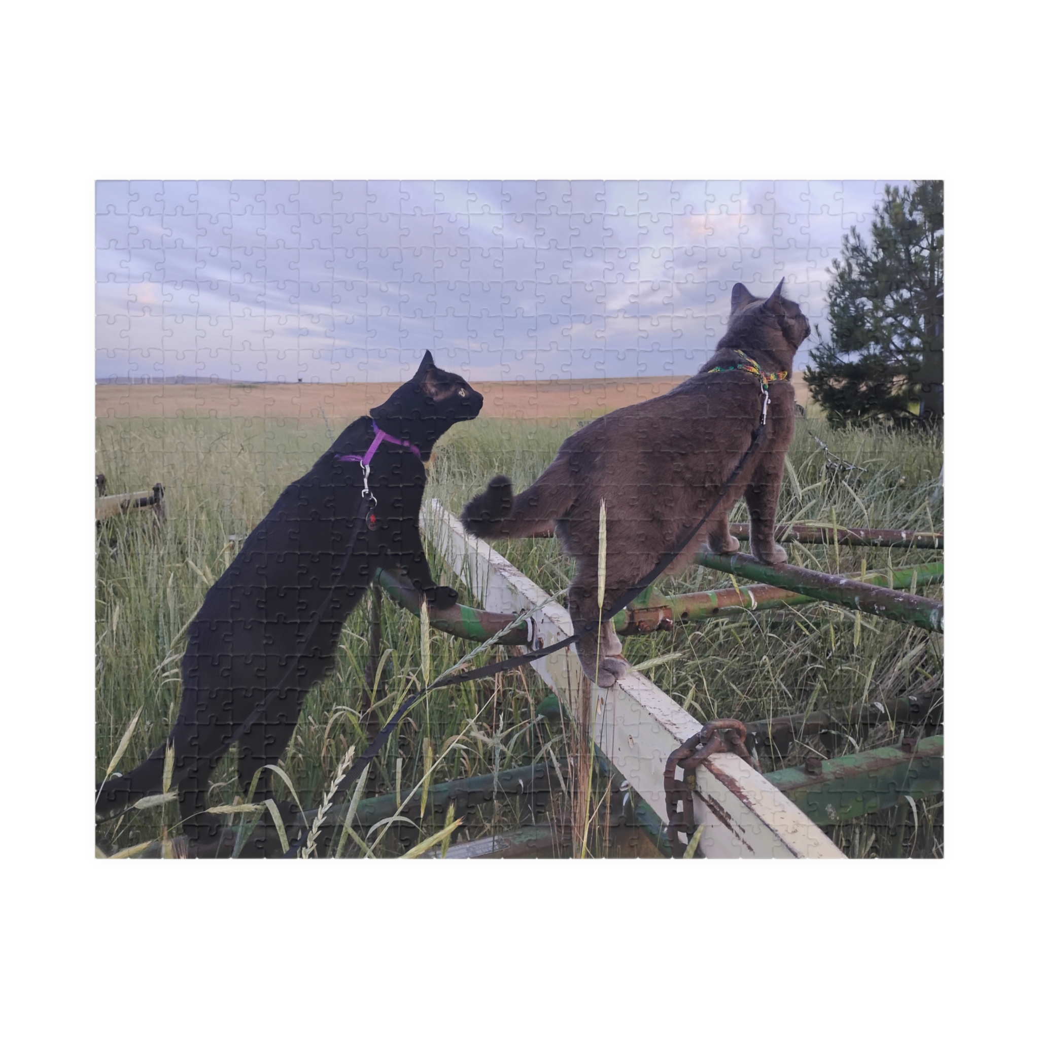 Tractor Cats on Hay Rake 2026 Puzzle (252, 520, 1014-piece) - Image 5