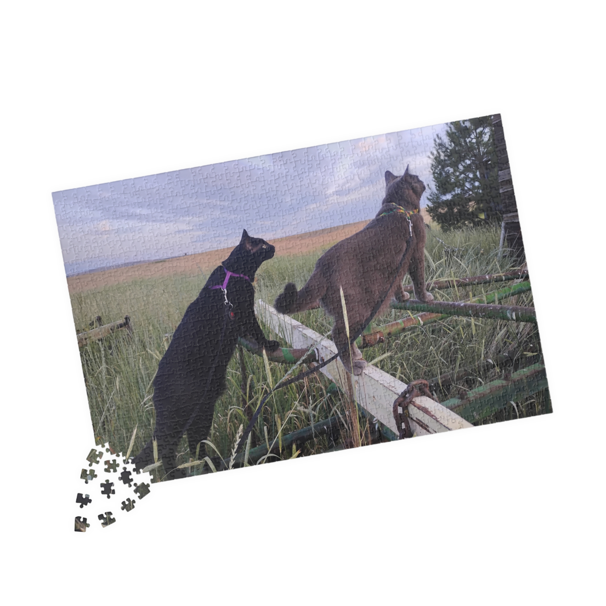 Tractor Cats on Hay Rake 2026 Puzzle (252, 520, 1014-piece) - Image 11