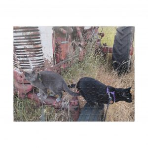 Tractor Cats on Model M Tractor 2026 Puzzle (252, 520, 1014-piece)
