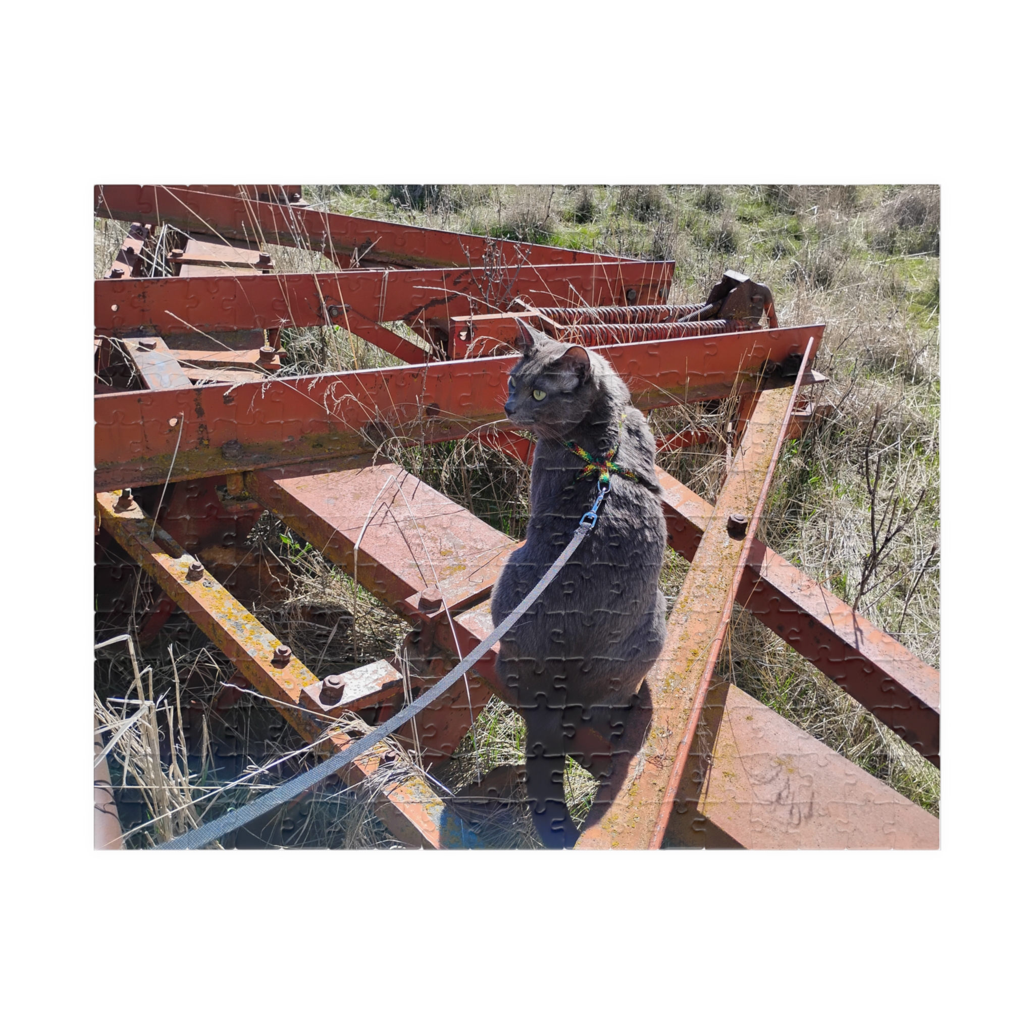 Indy on Disk 2026 Puzzle (252, 520, 1014-piece)