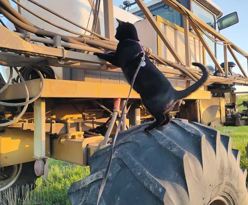 April 2026 - Zorro exploring Rogator Sprayer 